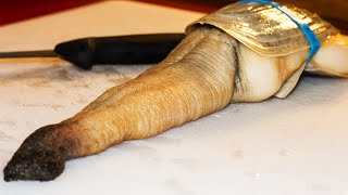 Geoduck  Animal of the Week [upl. by Meit]