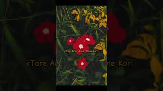 Tare amar amar mone kori amar hoa r hoilo na  New whatsapp status [upl. by Kristianson748]