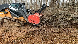 Forestry Mulching with the Case DL550 Minotaur Fecon and Dirt Perfect [upl. by Donatelli]