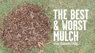 The Best and Worst Mulch for Your Garden  Southern Living [upl. by Abagael]