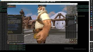 Lineage 2 Dev C1  Fafurion client  public beta test [upl. by Akcirahs374]