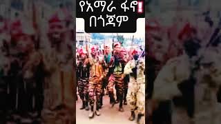 ተው ተው የአማራ ፋኖ ቅራርቶ Amhara Fano Kererto [upl. by Hannie]