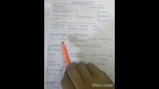 Bacterial nutritionChemosynthesis  Chemical reaction [upl. by Iturk]