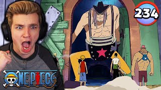 The Straw Hats VS Franky Family [upl. by Kahn]