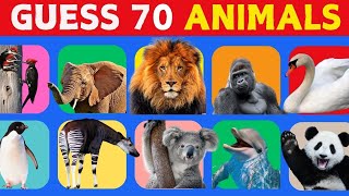 Do you know the names of these animals 🧠🐾 [upl. by Aderfla]