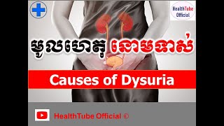 មូលហេតុ នោមទាស់ l Causes of dysuria l HealthTube Official [upl. by Jacinthe]