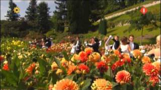 Andre Rieu op bloemeneiland Mainau [upl. by Sampson]