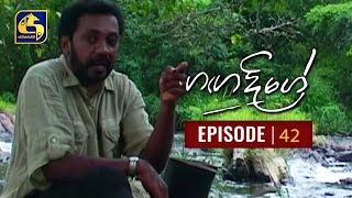 Ganga Dige  ගඟ දිගේ with Jackson Anthony  Episode 42 [upl. by Rednas]