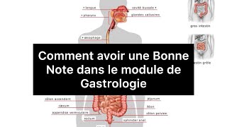 🔻Tous ce que vous devez connaitre sur le module de Gastrologie  4 ème année medecine [upl. by Woll]