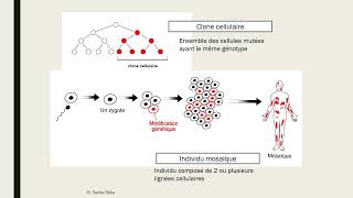 Génétique moléculaire S5 Partie 1 [upl. by Noakes206]