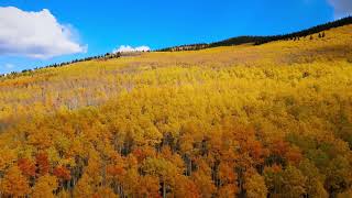 Kenosha Pass thru the eyes of a drone [upl. by Llenreb]