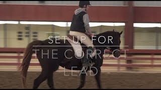 HOW TO CANTER  Horses 101 Under Saddle [upl. by Kilbride765]