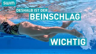 DESHALB ist der Beinschlag beim Kraulschwimmen wichtig  SWIM Technik [upl. by Akcir136]