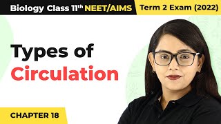Types of Circulation in Human Beings  Body Fluids And Circulation  Class 11 Biology [upl. by Eckblad]