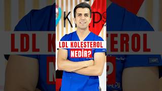 LDL Kolesterol Nedir [upl. by Flam]