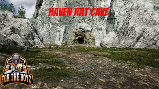 Haven Rat Cave Run Mortal Online 2 [upl. by Akeber]