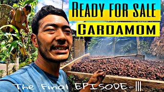 CARDAMOM  Ready For Sale  The Final Episode  III [upl. by Zampino]