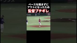 意味不明なアウトに監督ブチギレ プロ野球 [upl. by Gnourt]