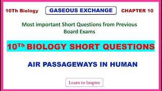 Gaseous exchange in Humans Human Respiratory system10Th Biology Short Questions Chapter 10 [upl. by Eseela306]