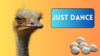 How Do Ostriches Reproduce [upl. by Solley16]