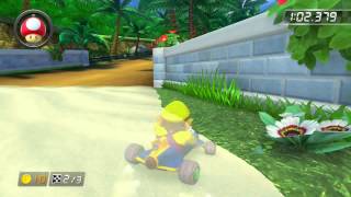 DS Cheep Cheep Beach  148293  JαK Mario Kart 8 World Record [upl. by Enilauqcaj]