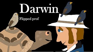 DARWIN videolezione la teoria dellevoluzione della specie spiegata facile flipped classroom [upl. by Ivah264]