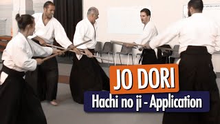 JO DORI  Hachi no ji application Aikido Iwama [upl. by Isewk]