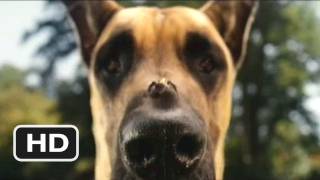 Marmaduke 4 Movie CLIP  Pretty Good Bee 2010 HD [upl. by Nuahsal455]