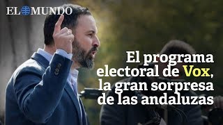 El programa electoral de Vox [upl. by Anaitsirhc335]