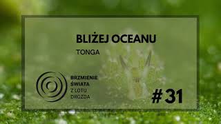 31  O humbakach krewetkach i Tonga występuje Wojtek Męczyński [upl. by Sexela]