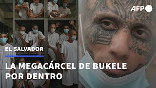 La megacárcel de Bukele por dentro seis meses después de inaugurada  AFP [upl. by Keene169]