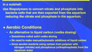 Biodegradable Polymers  DrTims Aquatics [upl. by Seessel]