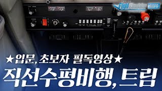 시즌1 경비행기 훈련 도전 Part1 기본조작 편  07 직선 수평 비행 [upl. by Kazim]