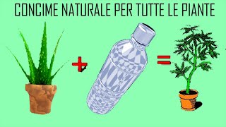 Concime liquido fatto in casa per tutte le piante ANCHE PER ORCHIDEE 🦋 aloevera  DevaNatura [upl. by Yeldoow]