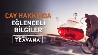 Çay Hakkında Duyunca Çok Şaşıracağınız İlginç Bilgiler  Starbucks Türkiye [upl. by Salim]