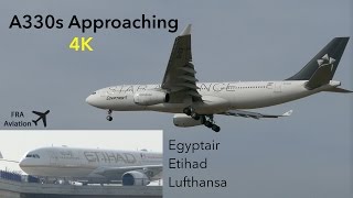 4K A330 Action at FRA  Egyptair Etihad Lufthansa [upl. by Schober]