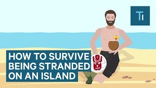 How To Survive If You Get Stranded On An Island [upl. by Alecram]