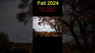 Gilbert King Elisa Photography Fall 2024 Group 2 [upl. by Yelnek]