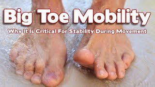 Why Big Toe Mobility Is So Important For Stability And Movement [upl. by Brigitta]