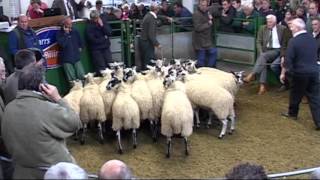 Hawes Auction Mart 2012 [upl. by Heywood]