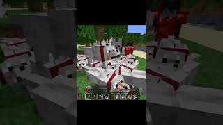 Minecraft Meme  69365 [upl. by Yelsnik]