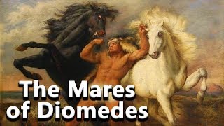 The Mares of Diomedes The ManEating Horses The Labours of Hercules  See U in History [upl. by Elumas811]