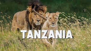 Tanzania Safari Tips  Serengeti Ngorongoro Tarangire Lake Manyara  The Planet D [upl. by Tibbs]