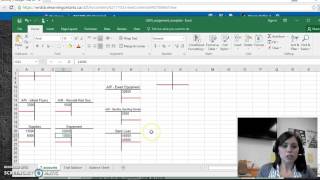 Unit 2  Activity 5 TAccount Trial Balance and Balance Sheet [upl. by Eannej]