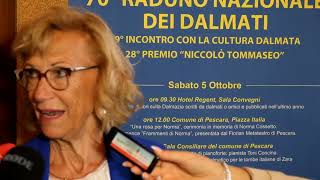 Raduno dei Dalmati a Pescara ne parla Donatella Bracali [upl. by Nomad]