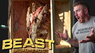 BEAST BROADHEAD REAL TEST on Hide Bone amp Organs in Mind Blowing SLOW MOTION [upl. by Katti]