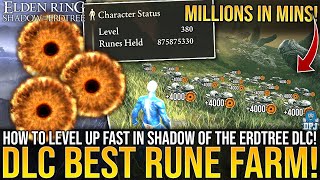 Elden Ring NEW BEST RUNE FARM for DLC  1000000 Runes in 5 MINUTES  How To LEVEL UP Fast Guide [upl. by Dana]