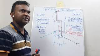 Spinal cord Hemisection in Bangla [upl. by Ahsrats852]