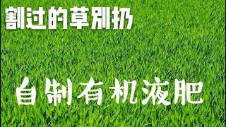 简单用割过的草来做高效有机液体肥料 [upl. by Gabler]