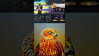 DONALDO GEMING FREE FIRE PC THAKUR ID SUBSCRIBERS ANDLAEIKPLISgarenafreefire freefireoffgamers [upl. by Notyep]